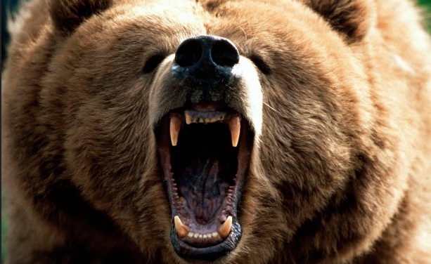 Αγορές: «Αρκούδες» προ των πυλών;